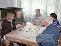 дома престарелых Степановское